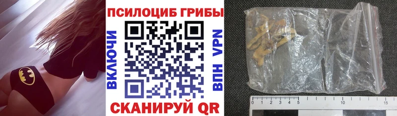Галлюциногенные грибы MAGIC MUSHROOMS где найти сайты даркнета состав Приволжск